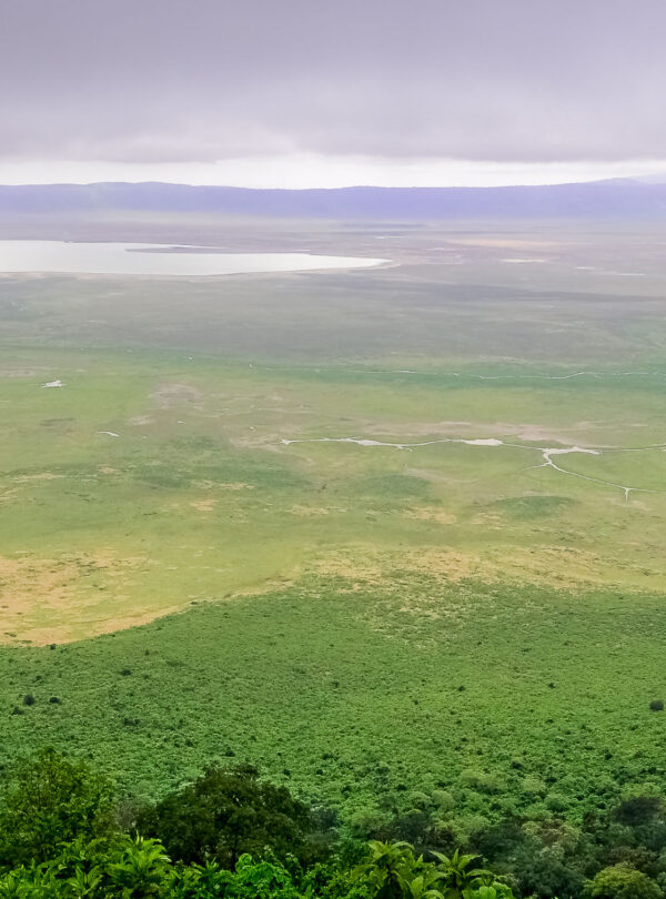 Ngorongoro-1001-2