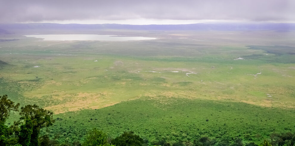 Ngorongoro-1001-2