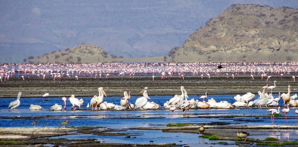 africa-safari-lake-natron