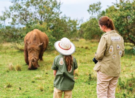 Wild Serenity Safaris