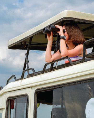Wild Serenity Safaris