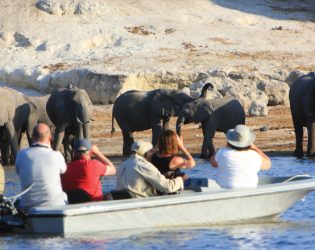 Wild Serenity Safaris