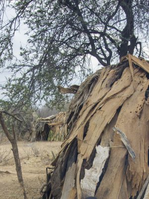 a small round hut made of tree bark and branches next to meat drying on a raised stick in the Hazabe tribe community of Tanzania, Africa